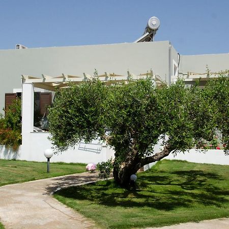 Villa Dimitris Παλαίκαστρο Εξωτερικό φωτογραφία