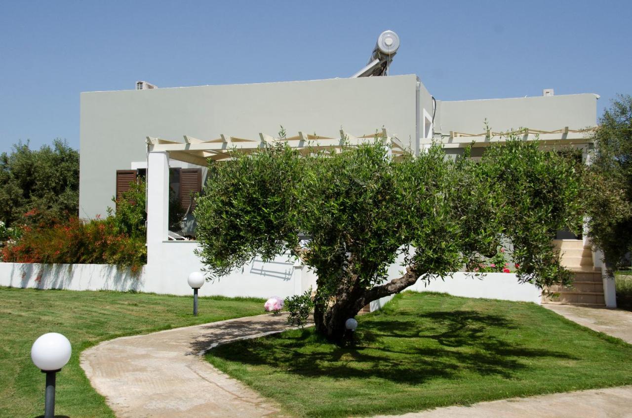 Villa Dimitris Παλαίκαστρο Εξωτερικό φωτογραφία